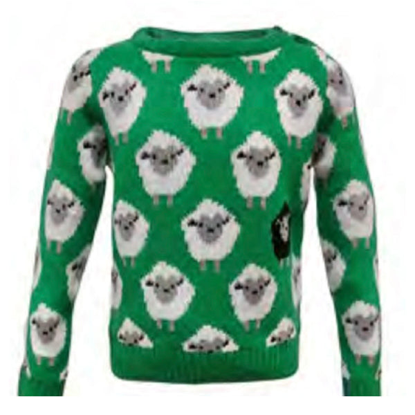 Children's Sheep Sweater in Green